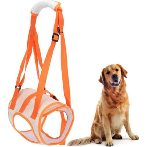 Mesh Pet Dog Lift Harness Rear Leg Support Belt Lifting Assist for Disabled Injury Elder Pet hospital tents Room