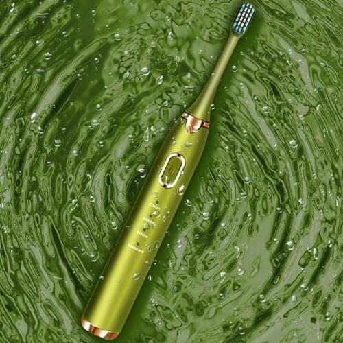 Ultrasonic Electric Toothbrush Adult Timer Brush 16 Gear USB Charger Rechargeable Tooth Brushes Replacement Heads Set