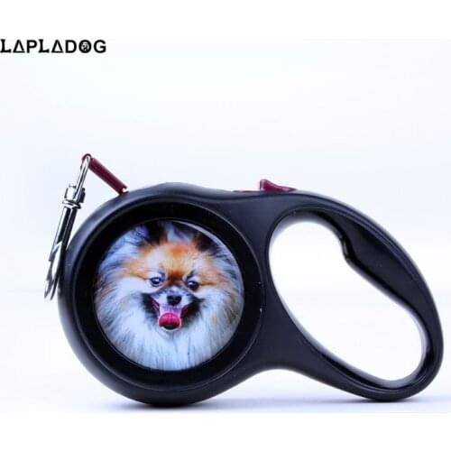 LAPLADOG Automatic Retractable Dog Leash Puppy Walking Leader Small Dogs Universal Remote Control With Super Flat Belt Pet Rope