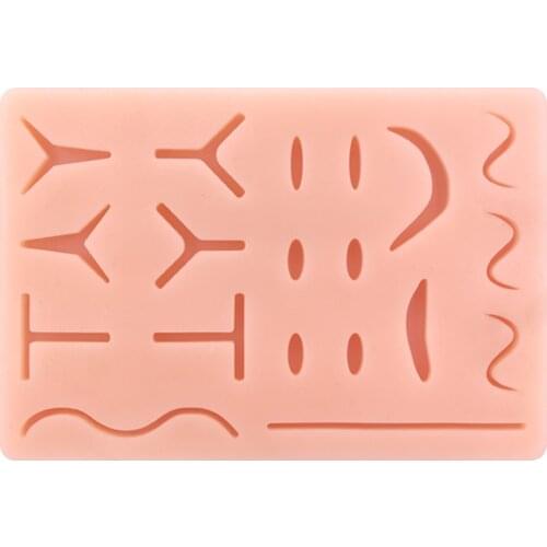 Анатомические модели Medarchitect China At AliExpress