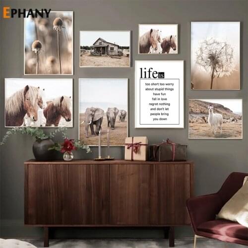 Horse Elephant Llama Grassland Wall Pictures Farm Animal Canvas Painting Art Nordic Posters and Prints for Living Room Decor