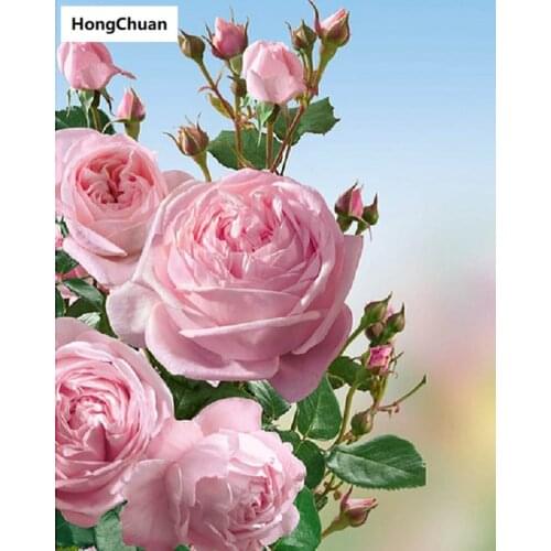 Fast delivery pink rose mural 5D DIY round/square diamond painting embroidery mosaic cross stitch home decoration new year gift