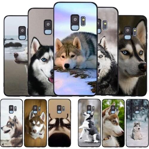 Husky dog black Soft phone Case For Samsung S20 S10 S9 S8 S7 edge Plus Lite Note 8 9 10 A6 A7 A8 A9 2018 Cover