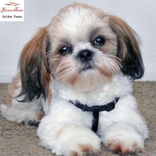 5D DIY full square diamond painting mosaic animal white dog diamond rhinestone embroidery cross stitch display home decor