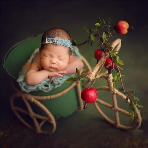 Newborn Bicycle Bucket Set Photography Props Baby Bike Photo Shoot Prop Photo background