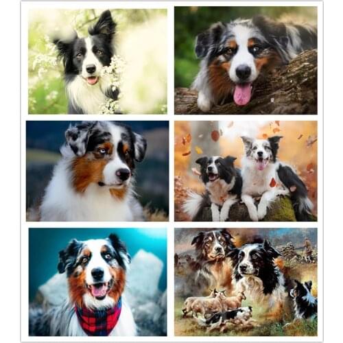 5D DIY Full Square Round Drill Diamond Painting Animal Border Collie Diamond Embroidery Cross Stitch Mosaic Set Home Decor Gift