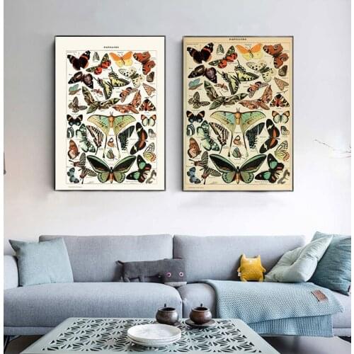 Antique Butterfly Vintage Poster Prints Insect Kind Nature Education Wall Art Canvas Painting Picture Kids Room Home Wall Decor