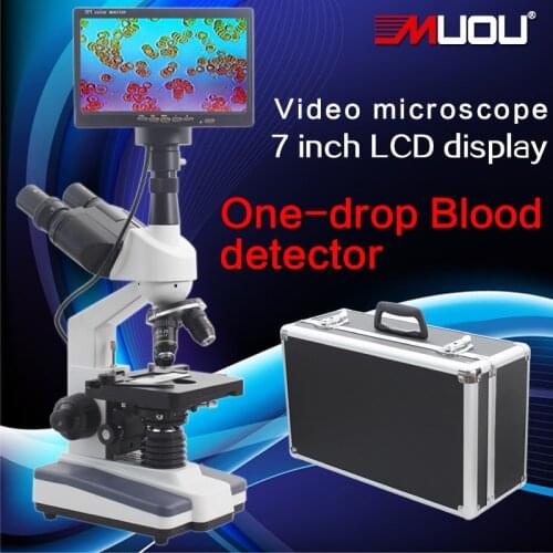 Кроссовки для бега MUOU China At AliExpress