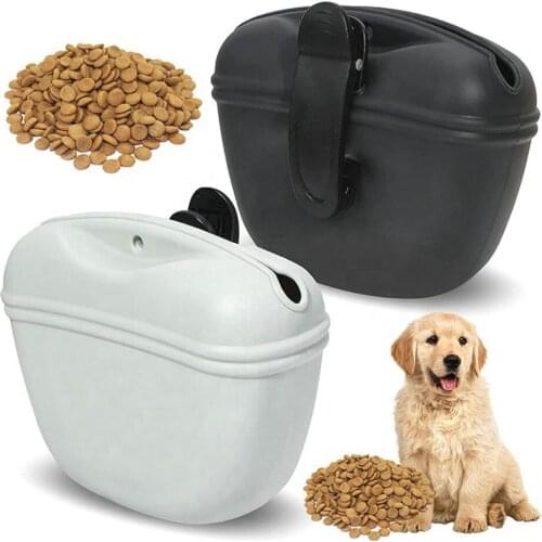 PETRAVEL Trainers For Dogs