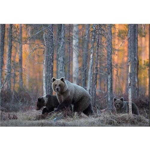 Full Square /Round Drill 5D DIY Diamond Painting animal "Brown bear" Needlework 3D Embroidery Cross Stitch kits Home Decor TY474