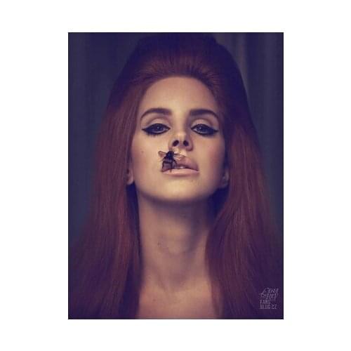 One Piece Poly glue Print Poster Wallpaper of Lana Del Rey,Hot Retro Modern HD Wall Stickers, Size 20x30 U2017