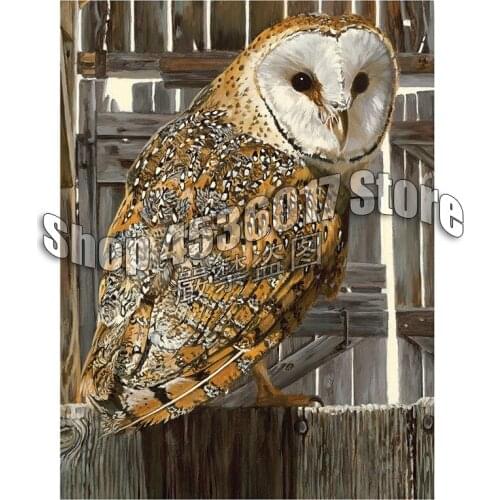 DIY Diamond Embroidery Animals Birds Cross Stitch Mosaic Diamond Painting Owl Pattern Full Square Rhinestone Home Decor Gift