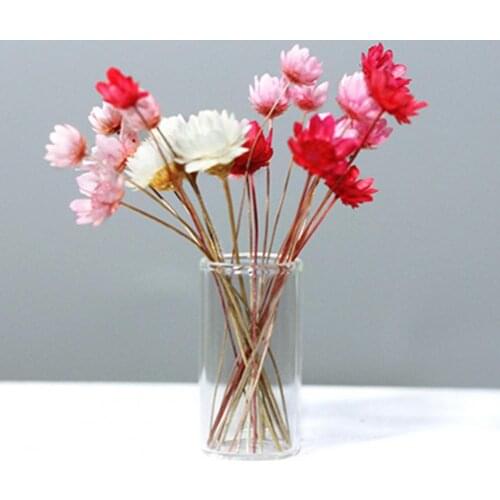 Mini Fresh Dried Flower Vase Model Doll House Decor Home Furnishings DIY Crafts