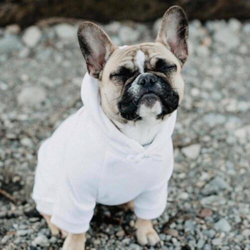 Fashion dog hoodie Spring autumn jackets for bulldogs small pets poodle toy dog B349