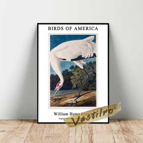 John James Audubon Poster, Hooping Crane Wall Painting, Birds Of America Illustration Picture, Vintage Bird Animal Art Prints