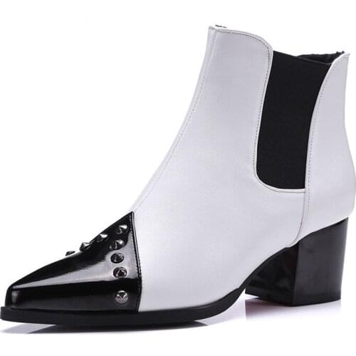 Fashion Pointed Toe Women Ankle Boots Thick Heels Martin Boots Women Botas Feminina Autumn Shoes Woman Plus Size 34-43 XKD2020