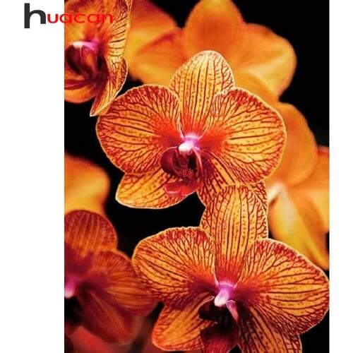 Huacan Diamond Painting Kit Orchid Home Decor Embroidery Flower Mosaic Home Decoration Crystal Diamond Art