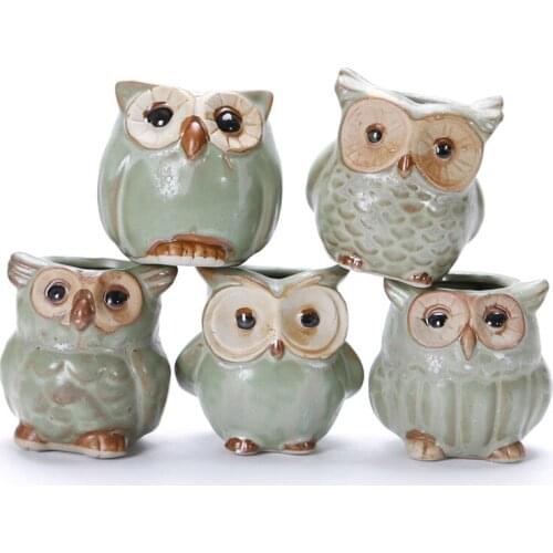 5pcs Ceramic Flower Pot Owl Shape Succulent Plant Container for Garden Home Decoration GQ