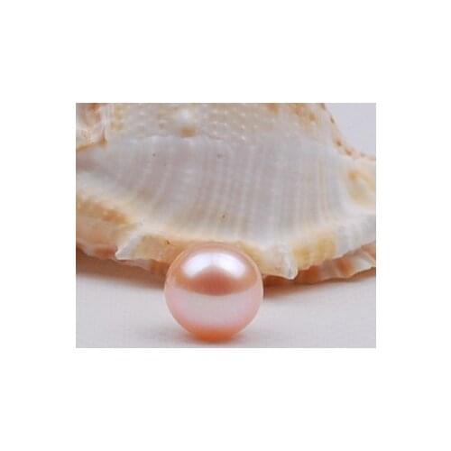 3pcs/lot AAA 6.5-7mm round 100% Genuine Freshwater Loose Pearl beads