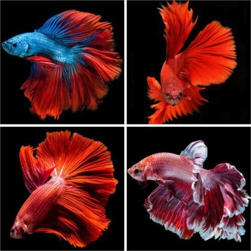 EverShine Diamond Painting Animals Full Square Cross Stitch Diamond Embroidery Fish Rhinestones Art Hobby Gift Wall Decor