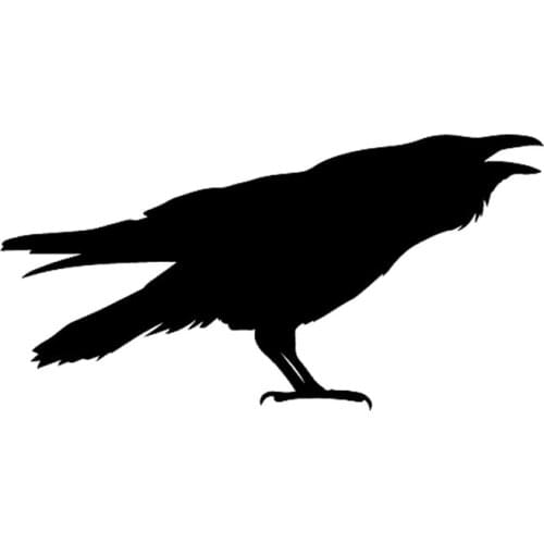 PLAY COOL Cartoon Animal Crow Bird Car Sticker Automobiles Motorcycles Exterior Accessories Vinyl Decals for Toyota Honda Lada