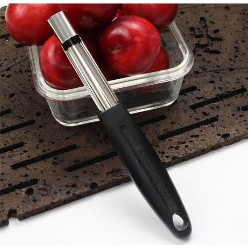 Apple Corer Steel Core Remover, Santoprene Handle Denucleator Steel W1P4
