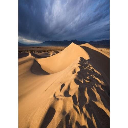 Sand Desert Dark Clouds Photo Backdrop Vinyl Cloth Background Photography Props for Baby Children Portrait Photobooth Studio