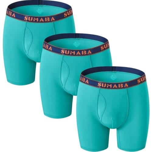 Mens Boxers Underwear Brand Sexy BoxerShorts For Man Interior Bamboo Breathable Soft Mens Knicke Mens Panties