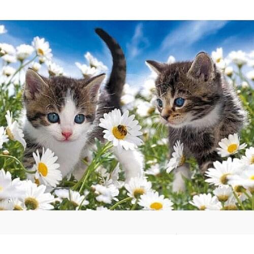 5D DIY Diamond Painting flowers Cats Cross stitch Diamond Embroidery Sale Full Drill Flower Needlework Mosaic Christmas present