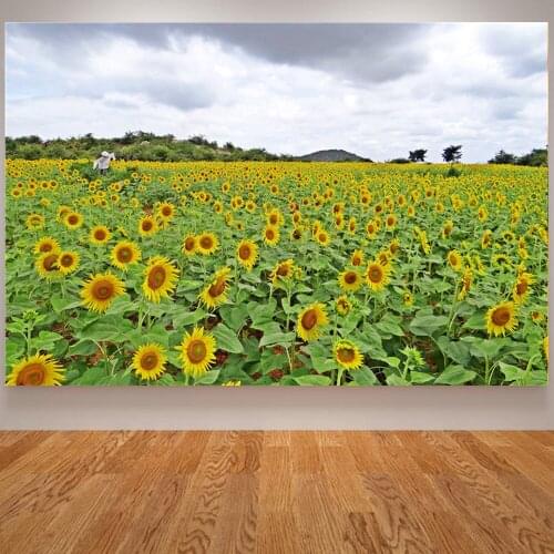 HD Korean style Sunflower Nordic Sunrise Landscape Oil Painting on Canvas Posters and Prints Cuadros Wall Art decoration