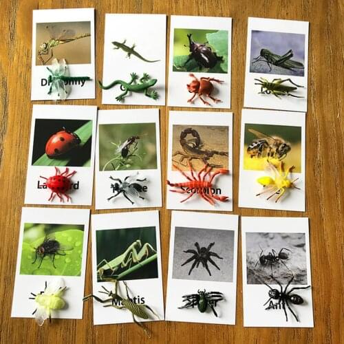 12PCS Kids Insect Livestock Farm Animal Sea Marine Animal Wild Animal Figurines Cognition Matching Cards Educational Toy