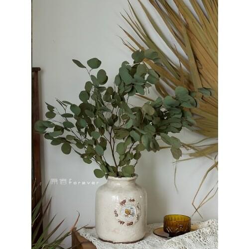 1pcs Natural Air-Drying Real Flower round Leaves Eucalyptus Leaves Dried Flowers Mori Model Room Soft Decoration