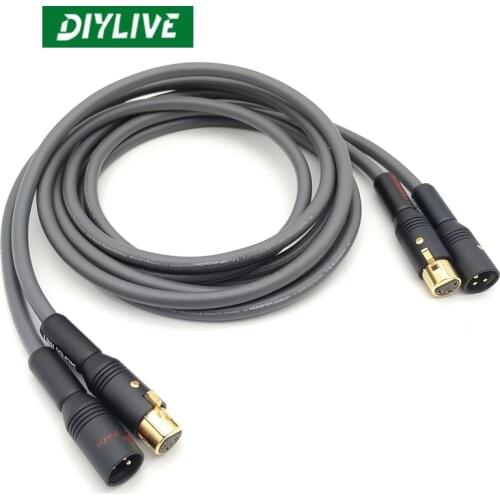 DIYLIVE Hi-Fi monster M850SW single crystal copper fever audio power amplifier XLR balance line card non balance line