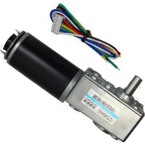 GW4058-31ZY DC worm gear motor / with magnetic Hall encoder