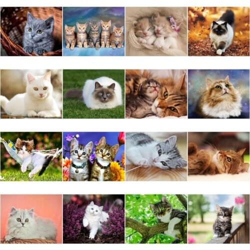 Diy 5D Full Diamond Painting Lovely Cat Diamond Embroidery Animal Cross Stitch Mosaic Rhinestone Manual Art Baby Home Decor Gift