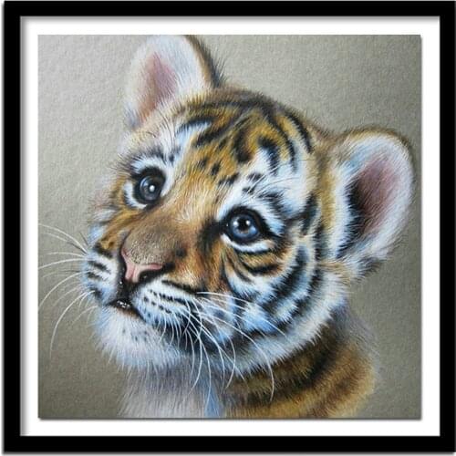 Diy 5d diamond painting cats animal full Square Diamond Pictures cross stitch patterns embroidery Hand Made childs gift