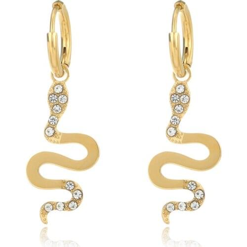 Snake Drop Earrings Stainless Steel Hoop Earrings For Woman Party Gifts Gold Silver Color Animal Dangle Earrings Fashion Jewelry