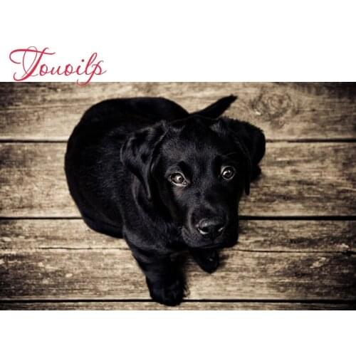 5D spuare & round black bulldog 5d diamond painting cross stitch dog diamond embroidery set needlework Husky diamond painting