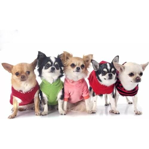 Diy Diamond Painting Cute Chihuahua Cross Stitch Kits Diamond Embroidery Pet Dog Picture By Numbers Full Square Mosaic Painting