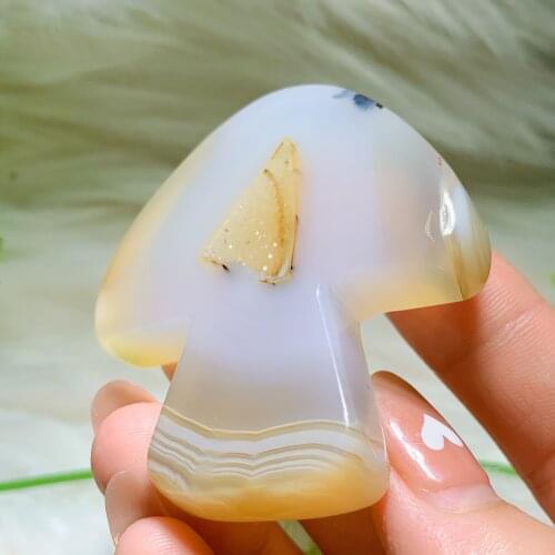 Druzy agate mushroom 2378
