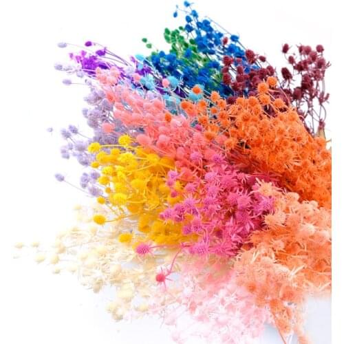 Hot-Selling 60cm Fresh-Cut Eryngium Purple Thistle Valentine Fruit Preserved Dried Flowers Home Wedding Christmas Decoration