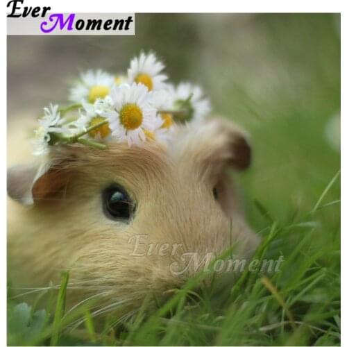 Ever Moment Diamond Painting 5D DIY Mosaic Rabbit Grass Full Square Drill Picture Rhinestone Diamond Embroidery Handmade ASF1564