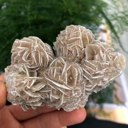 Natural DESERT ROSE SELENITE Healing Raw Crystal Stone Mineral Specimen Rough Sample Cluster FengShui Decor
