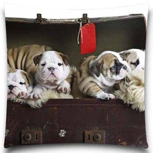 Wholesales Cotton Polyester cushion cover Cute Dog Cushion Natural Animal Style Home Decorative 5 size 9 style pillow case