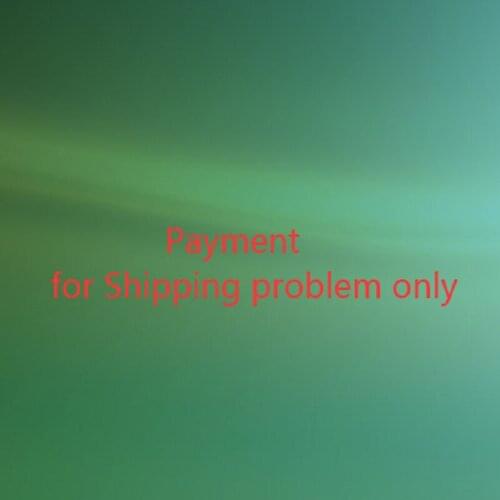 For shipping problem payment only