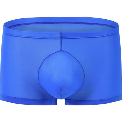 Mens transparent ice silk flat-angle pants sexy perspective panties a piece of sexy four-legged pants