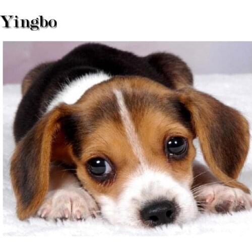 Diamond embroidery cross stitch cute pet diamond mosaic jack russell terrier full rhinestone picture diamond painting puppy icon