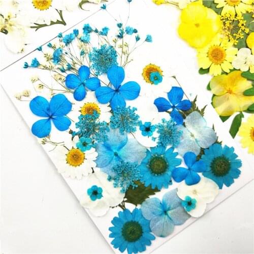 Small Real Dried Flower Natural Dry Plants For Candle Epoxy Resin Pendant Necklace Jewelry Making Craft DIY Accessori