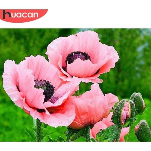 HUACAN Diamond Painting Pink Poppy Full Square/Round Diamond Embroidery Flowers Home Decoration Wall Stickers