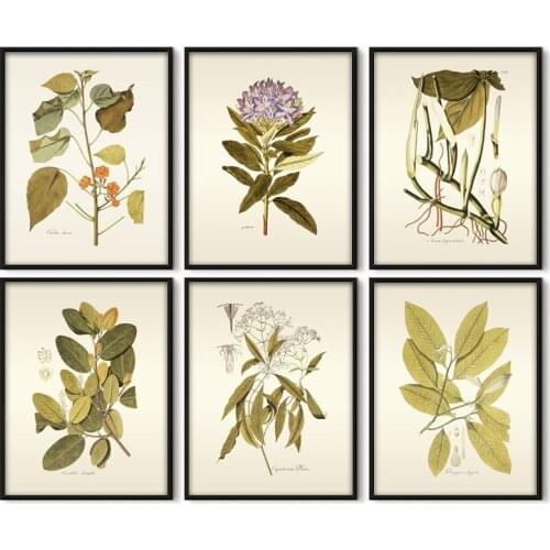 Herbaceous Plant Wall Art Painting Vintage Flower Leaves Pictures For Home Bedroom Wall Decor Poster Kraft paper